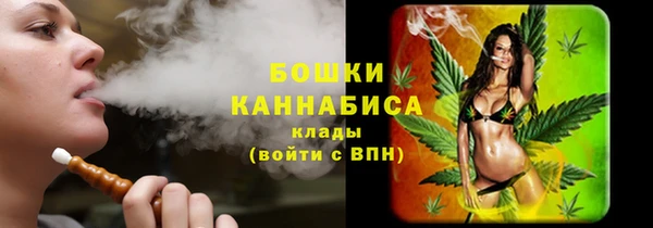 шишки Иннополис