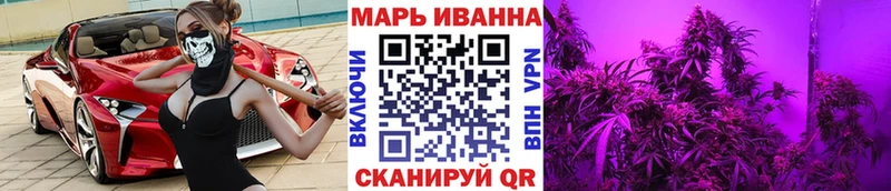 Бошки Шишки сатива  где можно купить   даркнет клад  Гдов 